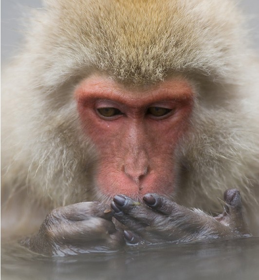 ��֪����ô��Ұ��������д�漯�𣿣�ͼ��