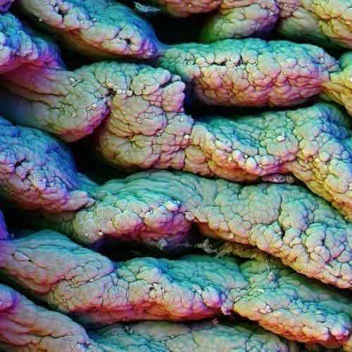 ���δ������������ͼƬ  ����ϸ��ͼ