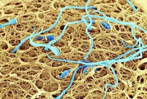 ���δ������������ͼƬ  ����ϸ��ͼ