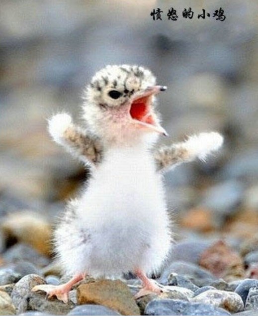 ����ոճ���ʱ������� ������𣿣�ͼ��