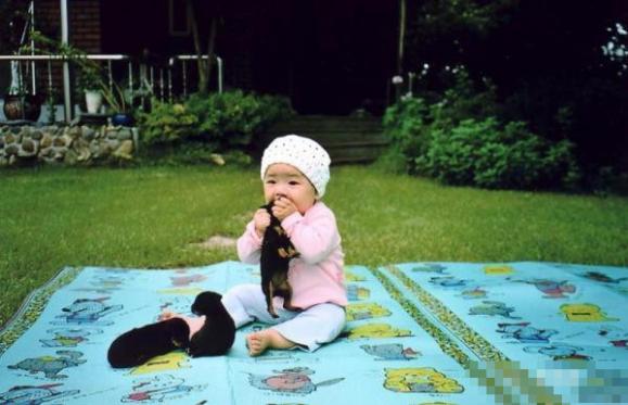 �����緹�Ŀɰ�С���� ��Ц����