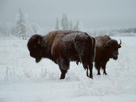 �̵㶯���������ͬ�������� ��Ȥ��