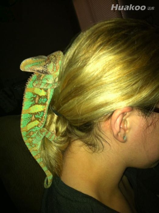 ������ͼ��������Ц���� ��Ц��ͼ