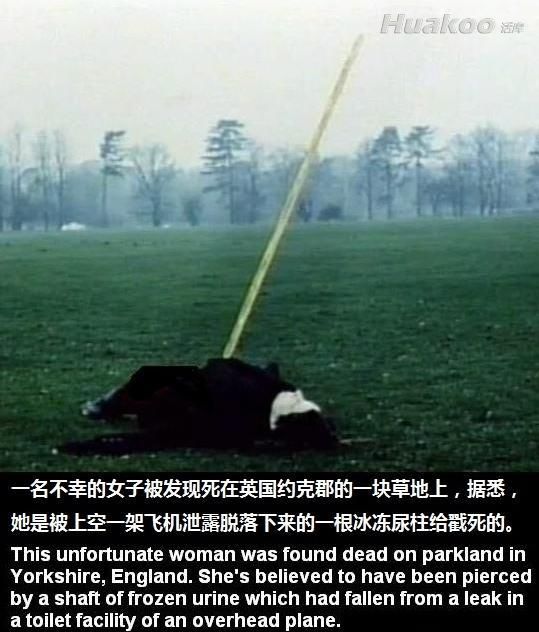 ��ͼ���˿�Ц��ֹ�� ��Ц��ͼ