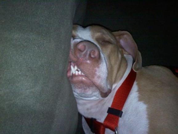 ��һ�۾�Ц�������ͼ ��ЦͼƬ