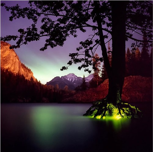 ������ⳡ���۵��ܵƹ⣨��ͼ��