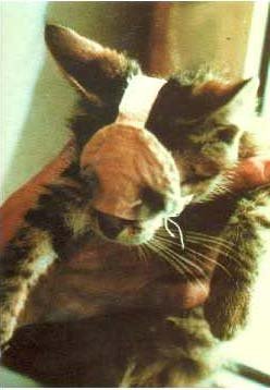 ���أ��Ҳ��̶õĶ���ʵ�����Ƭ��ͼ��