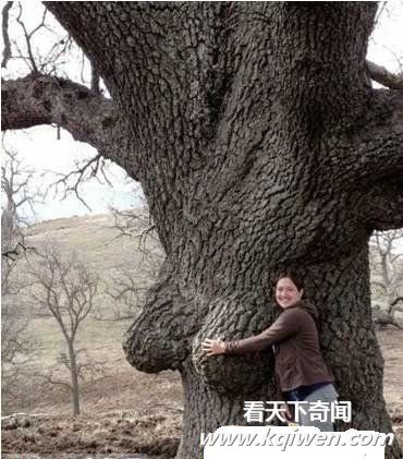 ���������̫�������Ǵ���Ȼ̫����