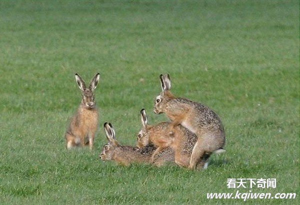 �����İ��ĳ��ͳ��� ǿ����������ͼ�̵�(��ͼ)