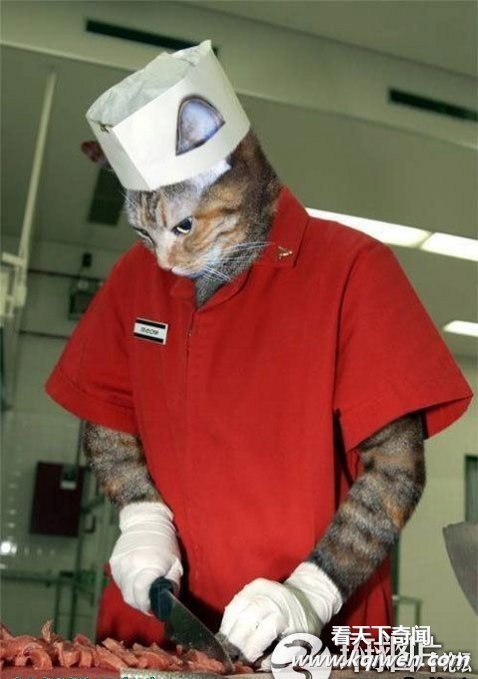 ץ����������Ŀ��Ÿ��˲�� ���˾�ϲ����(��ͼ)