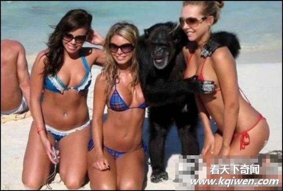 ɳ̲�����������˲���