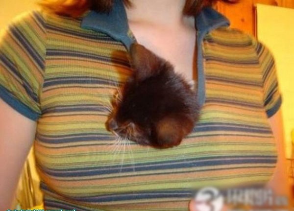 ��Ů������������ĳ����˹���ͼ�� ������ذ�(��ͼ)