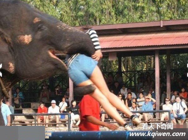 �̵���Ů���ֲ�����̬��Ϊ ��������(��ͼ62P)