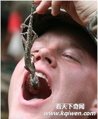 ������������Ы���������� ��Ů���ε�(��ͼ)