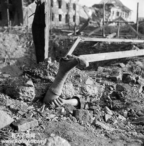 �����ɴ⼯��Ӫ��״��������ź�����ʬ��(��ͼ)